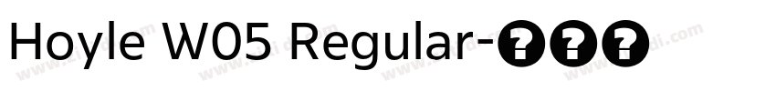 Hoyle W05 Regular字体转换